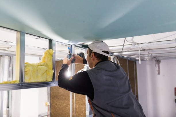 Best Wall Insulation Contractor  in Valmeyer, IL