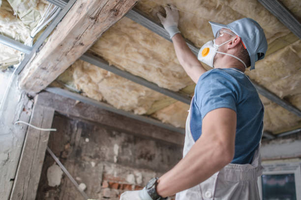 Best Attic Insulation Near Me  in Valmeyer, IL