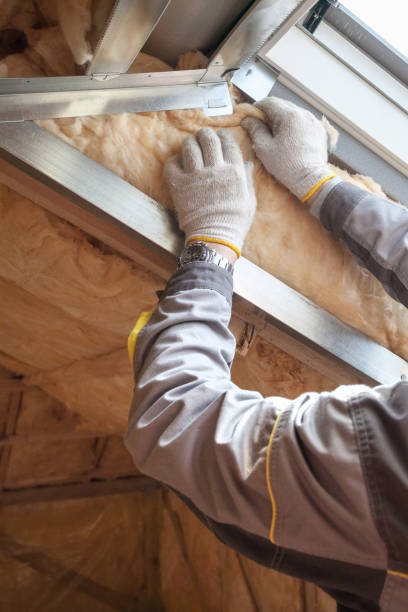 Best Insulation Contractors for Homes  in Valmeyer, IL