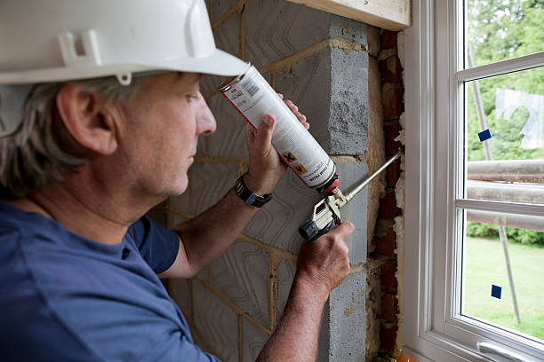 Best Garage Insulation Installation  in Valmeyer, IL
