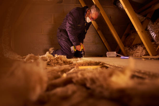 Best Insulation Inspection Services  in Valmeyer, IL