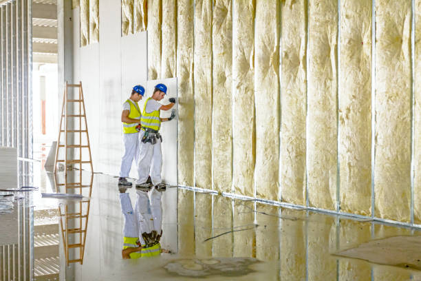 Best Insulation Contractor Near Me  in Valmeyer, IL